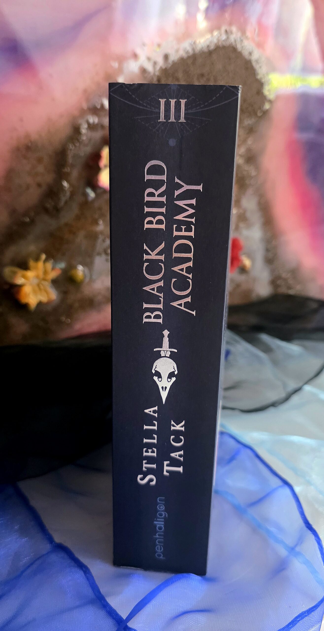 Black Bird Academy - Liebe den Tod - Stella Tack | Farbschnitt (Mängelexemplar) Cover
