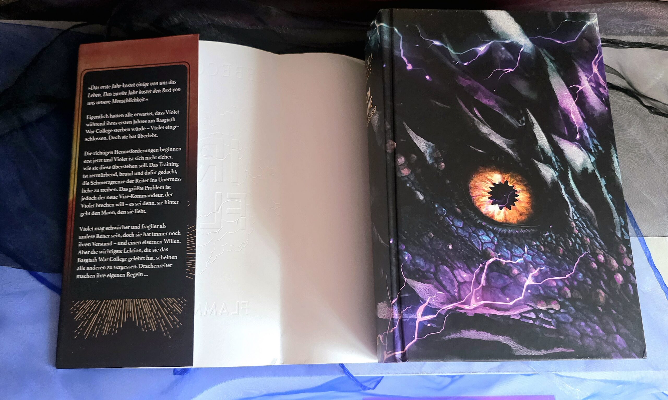 Iron Flame Bücherbüchse Farbschnitt Hardcover