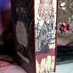 Das Reich der Verdammten Bücherbüchse Farbschnitt Jay Kristoff Hardcover Schrägansicht