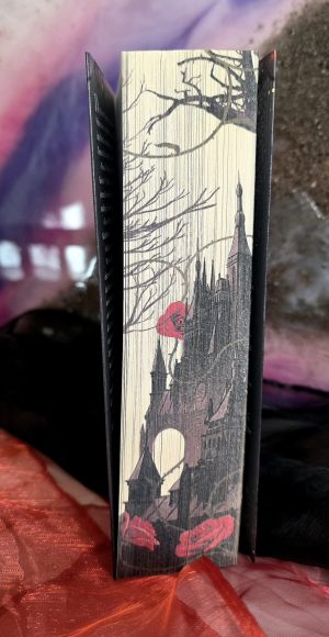 Ever & After – Der schlafende Prinz - Stella Tack | Bücherbüchse Farbschnitt Buchschnitt